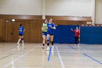 Bild 221 - wBJ TSV Ellerau - HSG Stoertal Hummeln : Ergebnis: 26:19